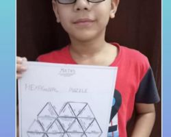 Hexagonal number puzzle in Grade - Ananda School Ahmedabad